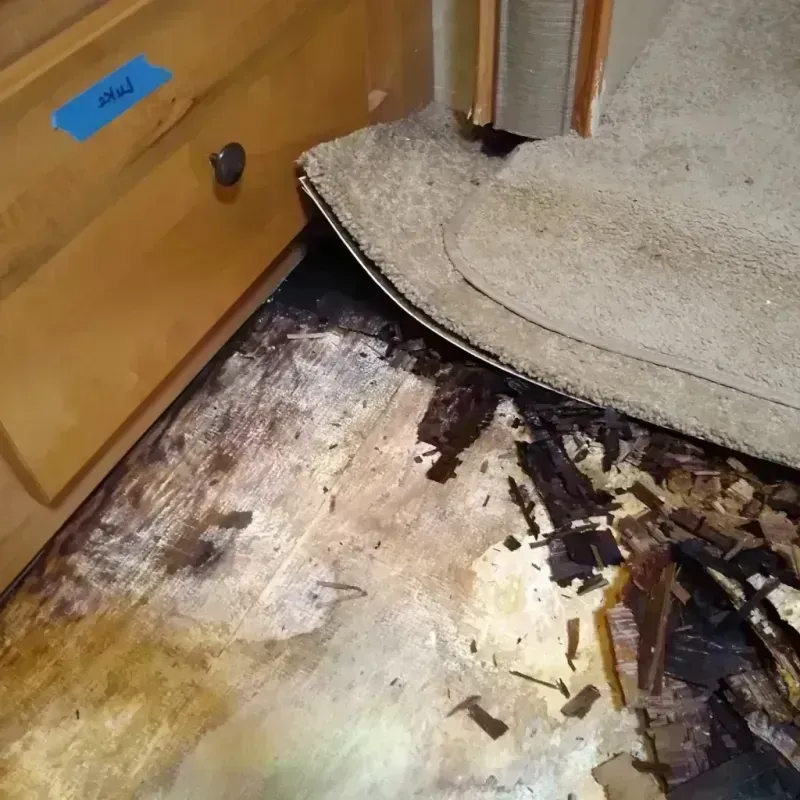 Best Wood Floor Water Damage Service in Lee County, SC